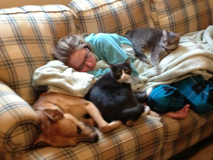 My Girlfriend Is A Veterinarian. This Is How I Found Her Today After Last Night's Overnight Shift