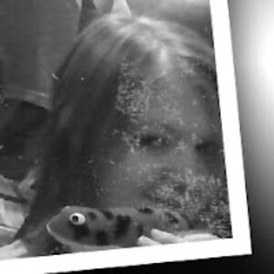 alainaherkelman avatar