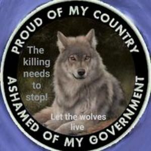 erni_gustafsson avatar