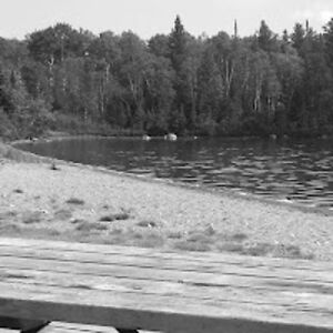 lancemarsolais avatar