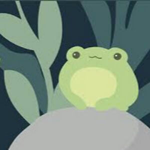 mrfroggyleaf avatar