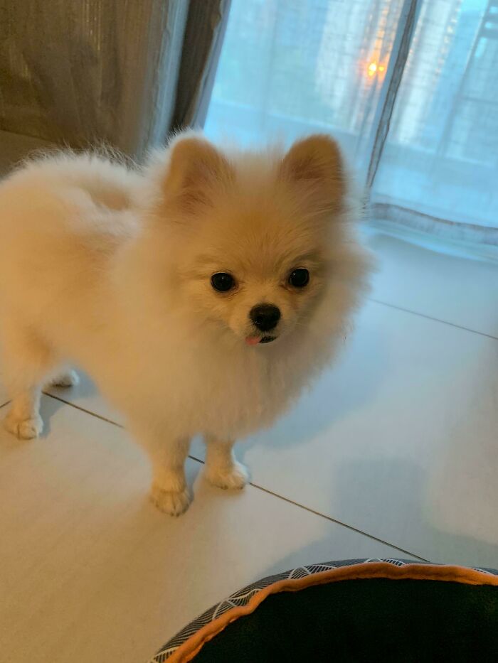 Can’t Get Over Her Cute Tongue Sticking Out