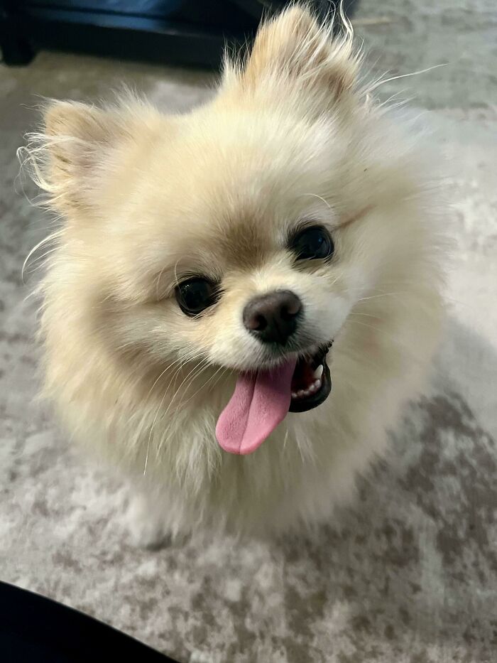 She’s Such A Goofball!