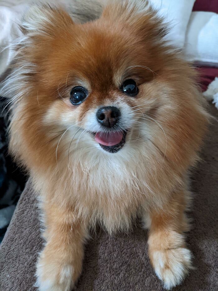 Full Black Sparkle Eyes, It's How I Know She's Happy. That And The Enormous Smile