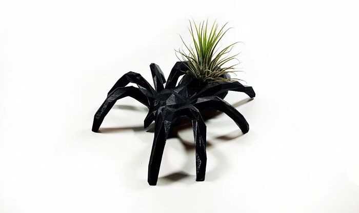 Black Spider Air Plant Holder