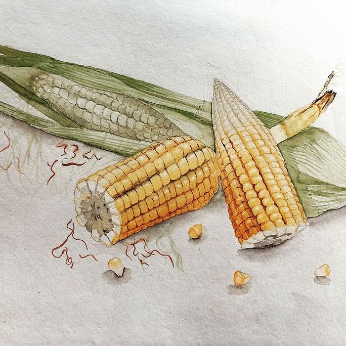 Watercolor corn drawing with husk, showcasing creative inspiration for drawing prompts.