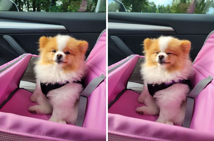 Ichigo Put In A Hard Day At Work