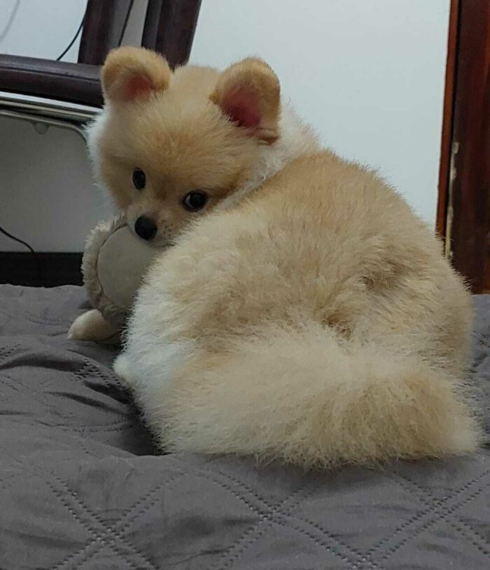Staring At You And Hugging His Teddy Bear, That's The "Time For Bed" Signal