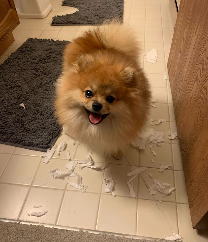 He Was So Proud Of Himself