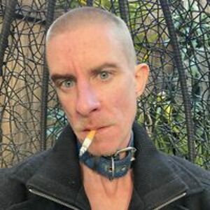 unapologeticfox avatar