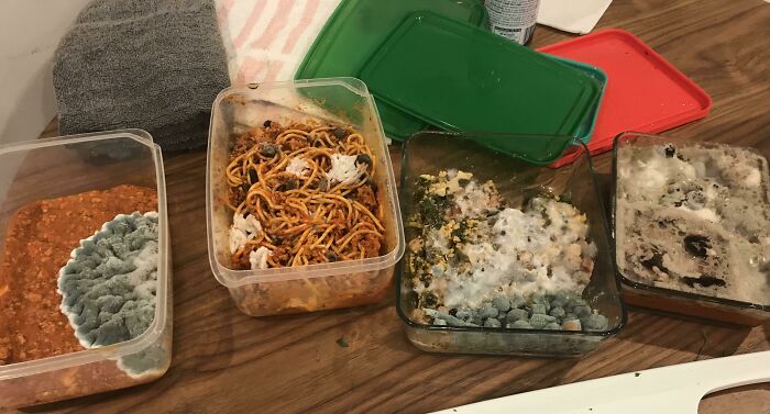 Love Having Roommates