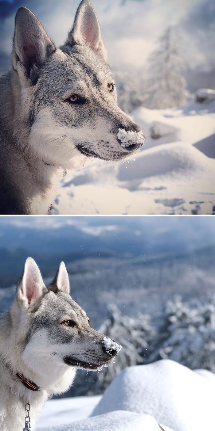 Can You Guess Why They Call Me Flake?