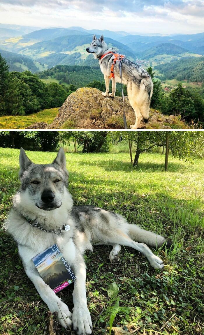 Morning Hour. Those Are The Moments That Reward Getting Up Early