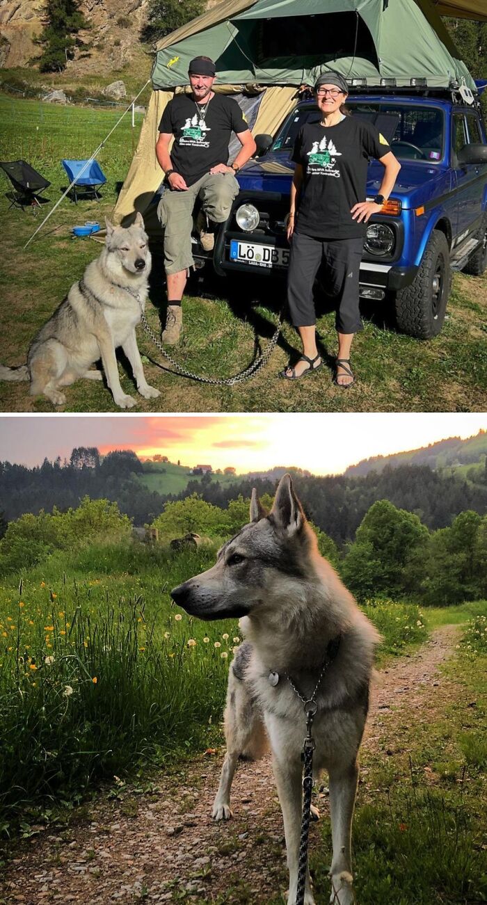 And Again We Pitched Our Roof Tent. This Time At The Campsite In Randa Near Zermatt