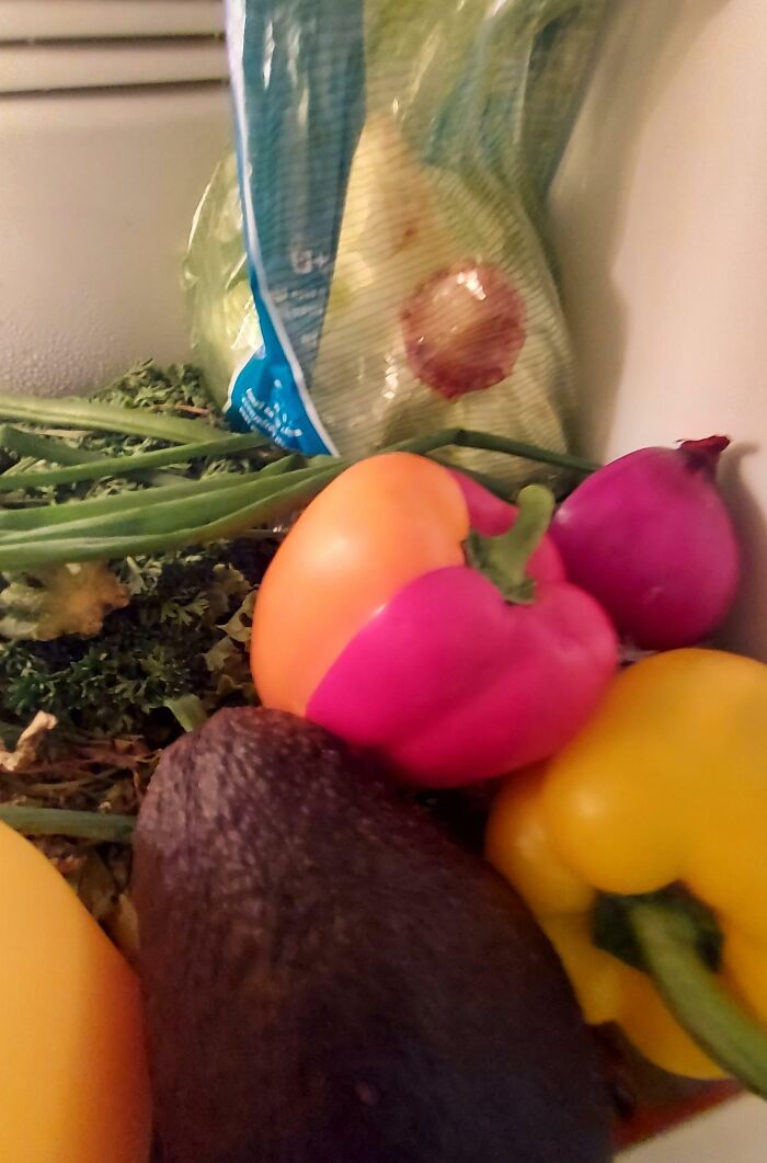 My Flatmate Used Two Capsicums In Her Dinner But Finished Neither - The Remainder Of Each Fit Perfectly Together