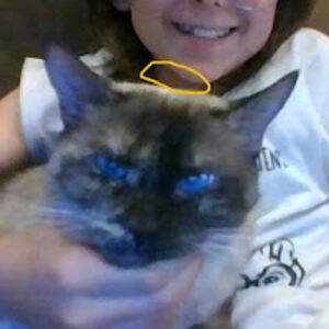 abbigaylerexrode avatar