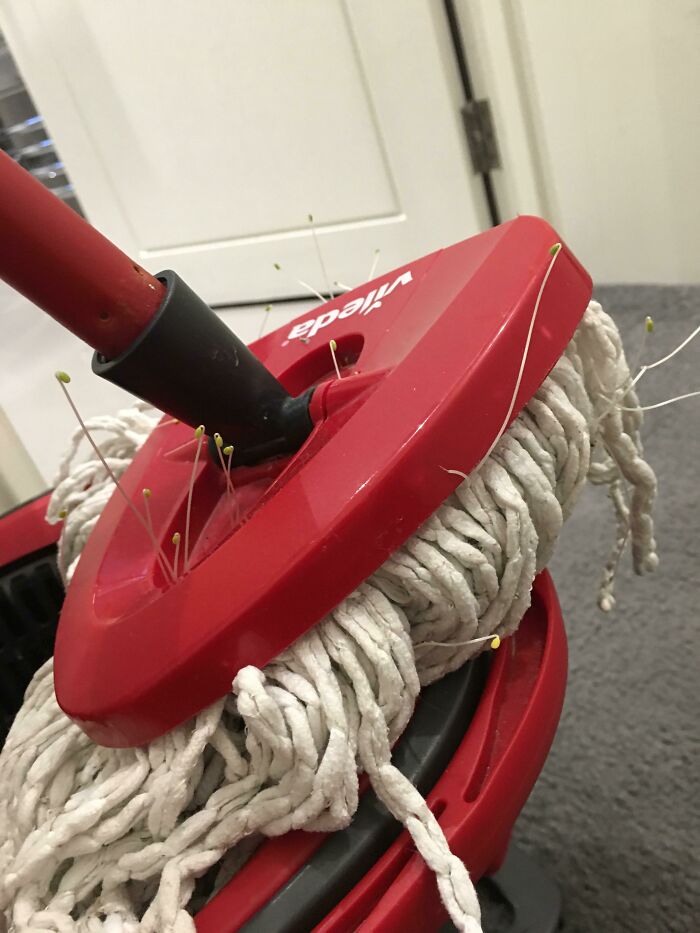 When Your Flatmate Likes To Eat Seeds And Cleans The Floor Without Vacuuming First