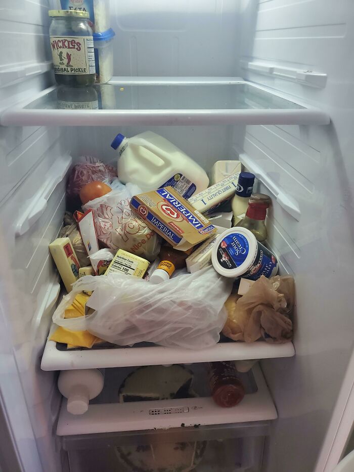 My Roommate's Very Organized Fridge