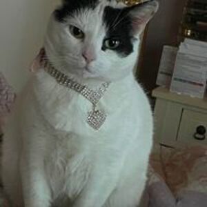 mrs_mcconnell avatar