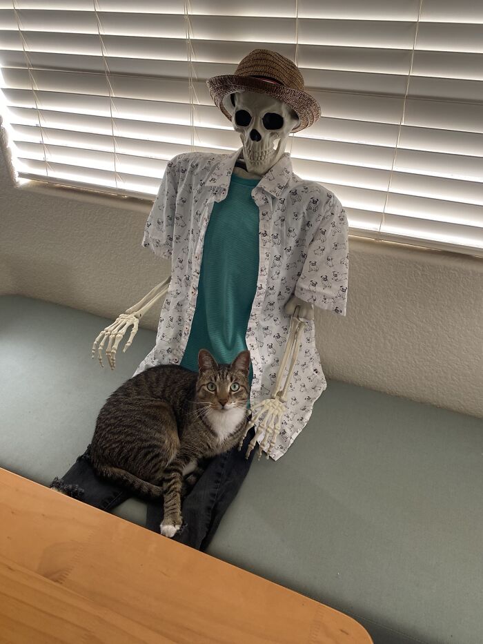 He Never Sits In Anybody’s Lap…