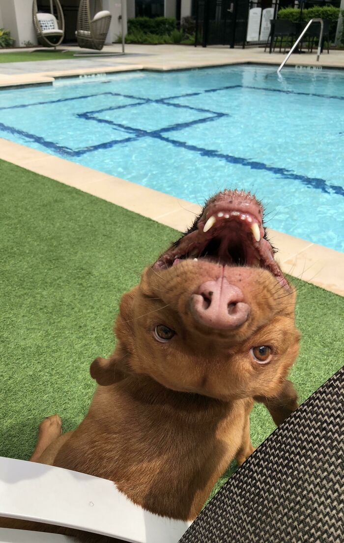 When I Call His Name…