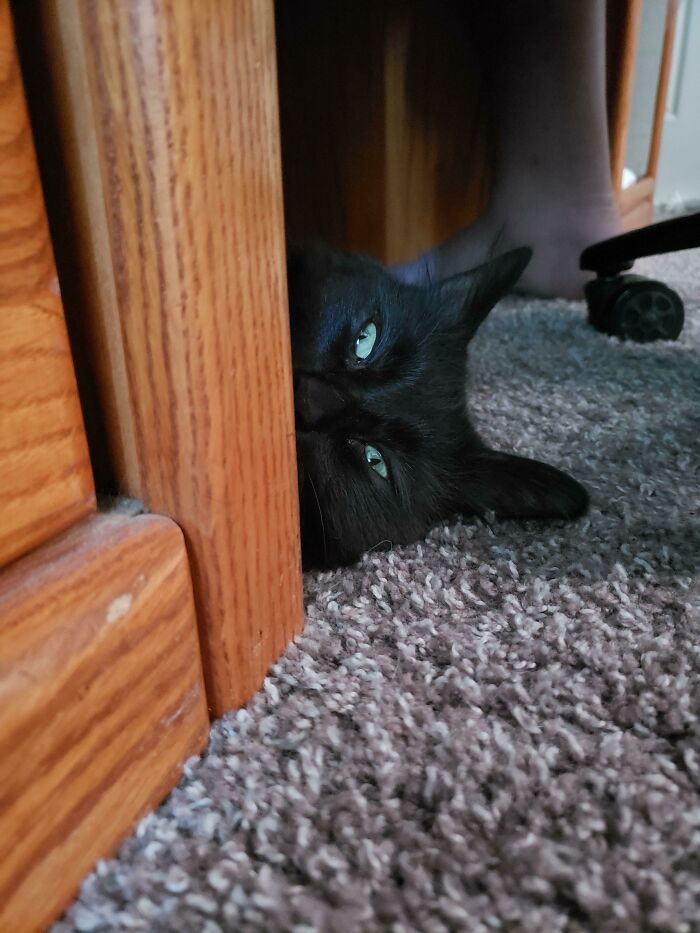 My Favorite Picture Of Her