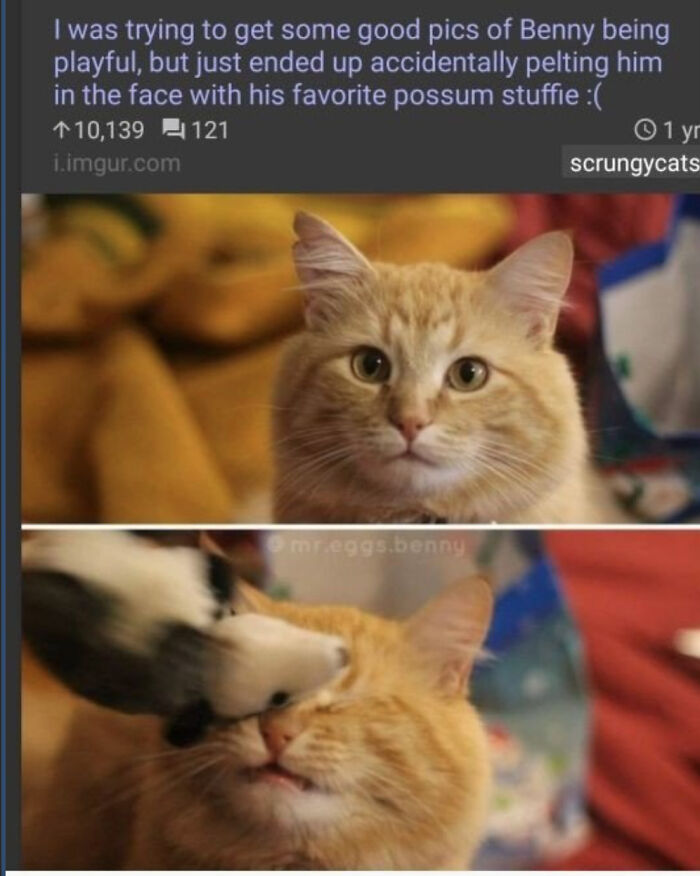 Help I Accidentally Started Laughing During A Geometry Test