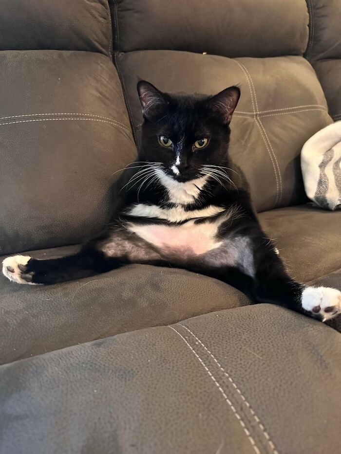 Our Little Derp Has 4 Legs, I Promise!