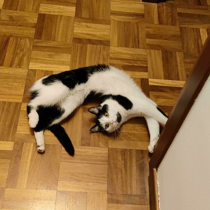 She May Need A Screwdriver