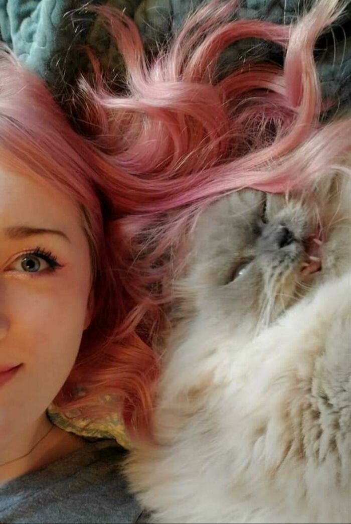 Trying To Take Cute Photos With My Cat