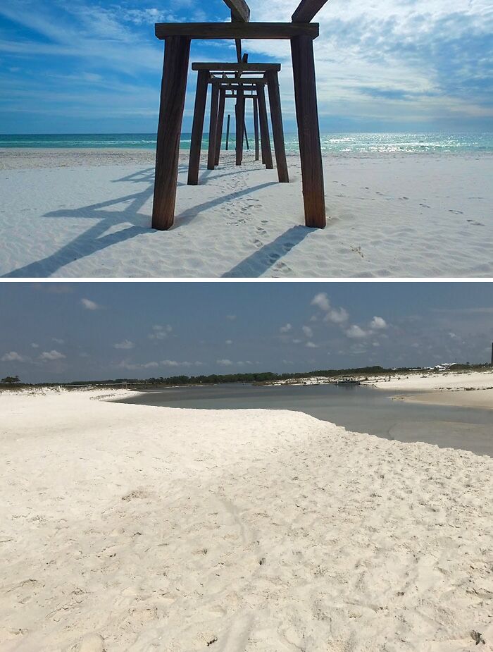 Camp Helen State Park, Florida, USA