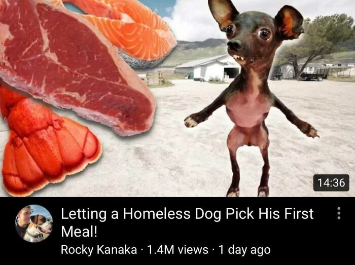 This Youtube Thumbnail