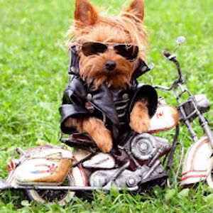 nicholasfield avatar