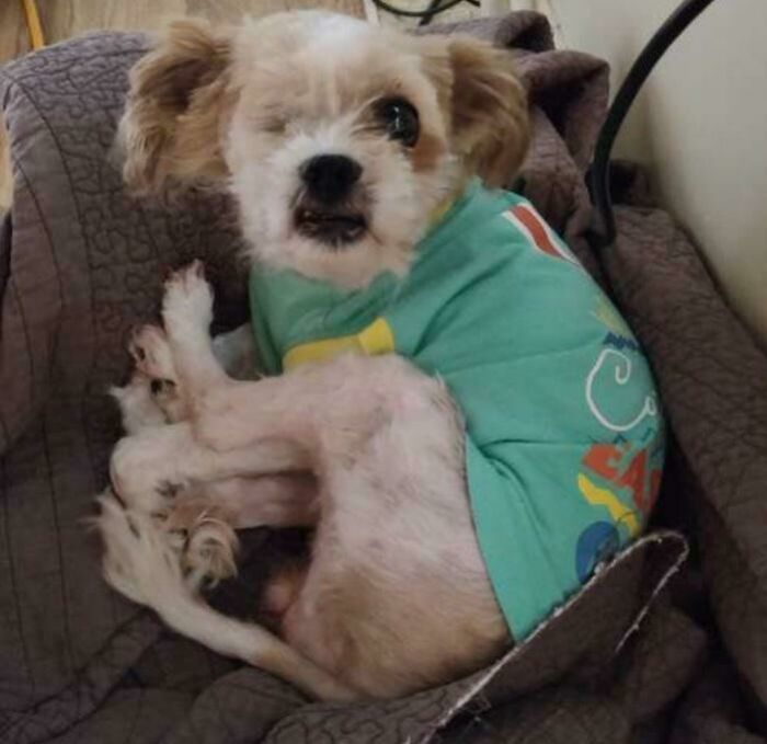 Just Adopted This Cutie! Any Name Ideas?