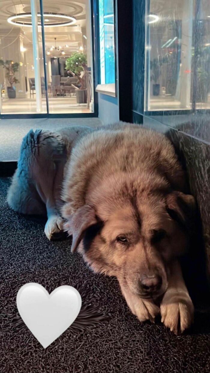 Adopting This Baby, Any Name Ideas?