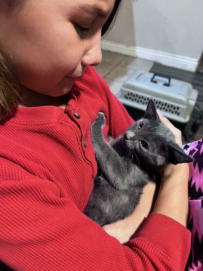 This Illegally Smol Criminal Has Been Living In My Back Yard. No One Wants To Adopt Her So I Guess She Is Now My Illegally Smol Criminal