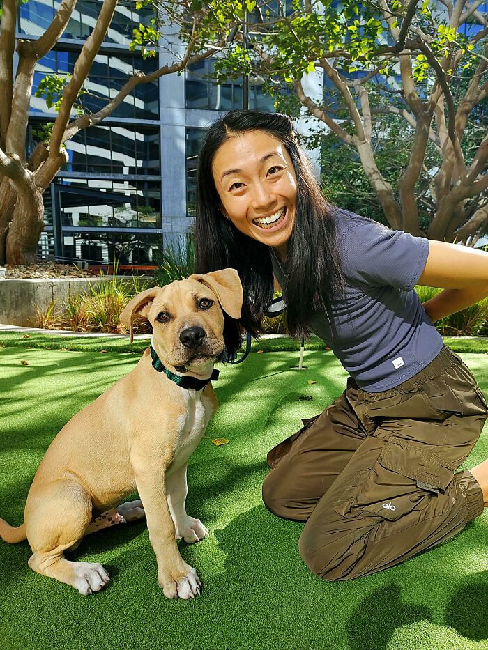 My Partner & Her First Ever Pet - A Fast Growing Rescue Pup!