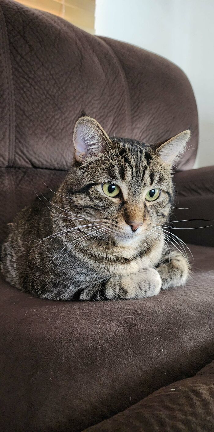 My Rescue Boy Is A Sic Right?