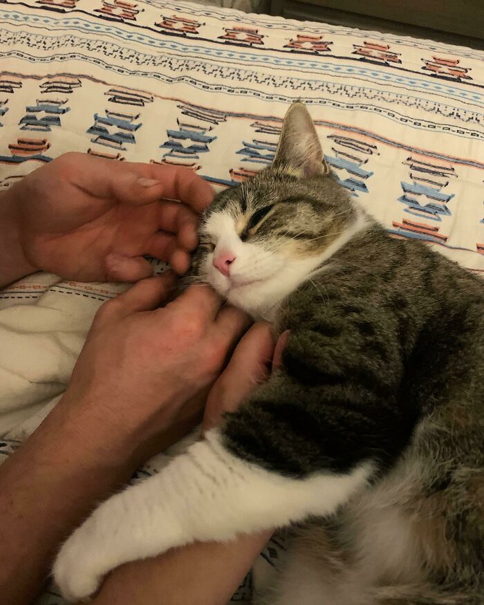 We Were Prepared For Our Rescue To Take A While To Settle In. Winnie Lovingly Proved Us Wrong On Night One!