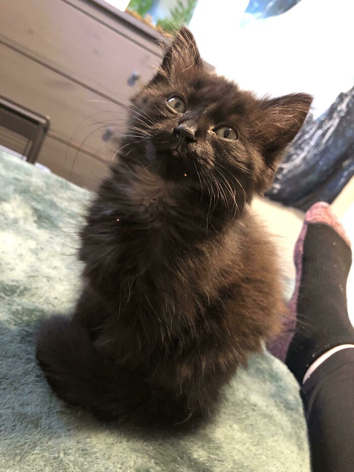 This Little Girl We Just Rescued