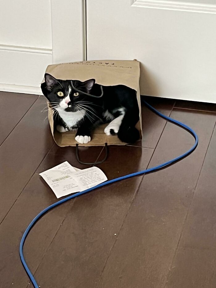 Adopted Her 2 Weeks Ago And This Finally Happened