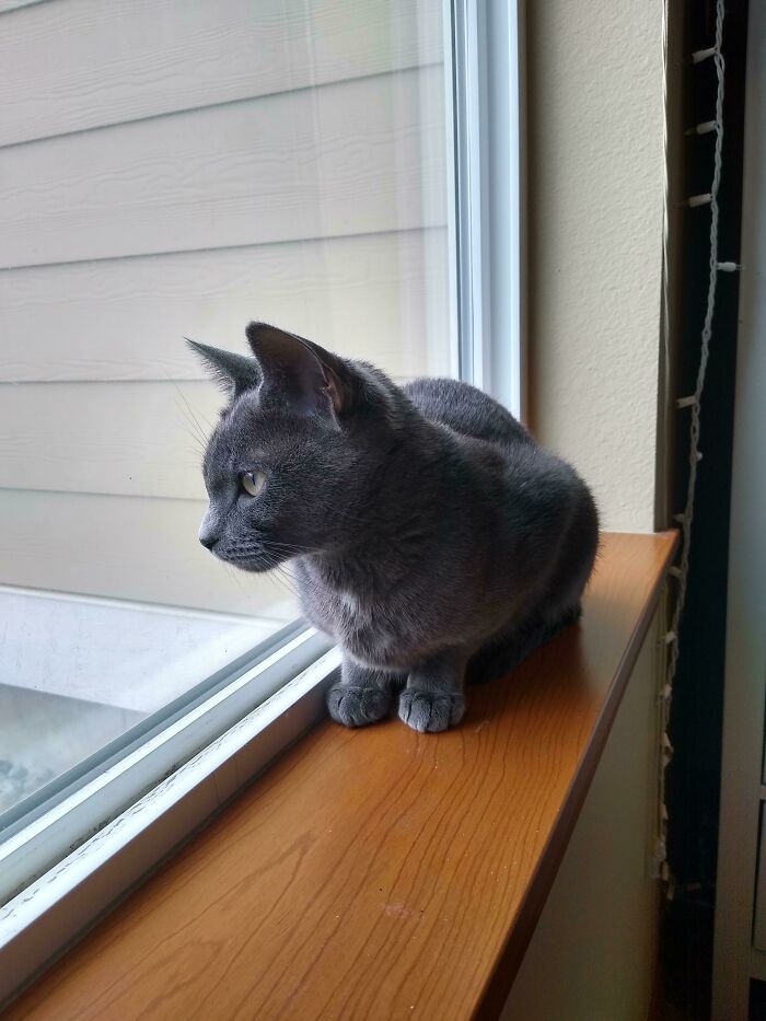 Just Adopted Her Yesterday 💚