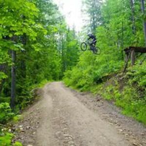 brockandersonmedia avatar