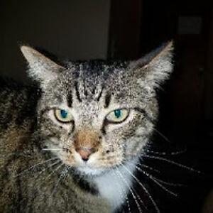 erisbriannaboyd avatar