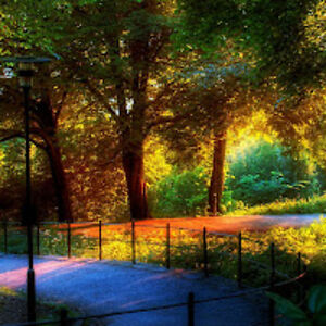 vivianschuetter avatar