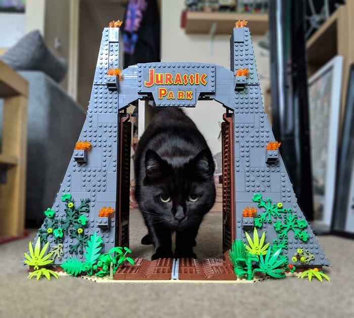 Black cat walking through a detailed LEGO Jurassic Park gate, showcasing incredible LEGO builds as real works of art.