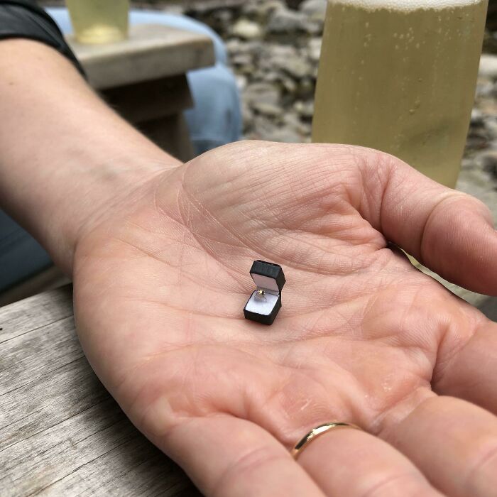 My Sister's Boyfriend Knows She Likes Miniatures And Proposed To Her With A Tiny Ring (He Got Her A Real Ring, Of Course)