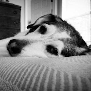 elissalittlebitofe avatar