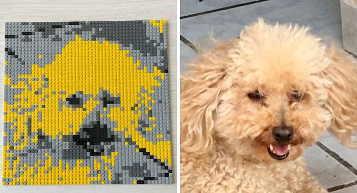 Pixelated LEGO mosaic of a curly-haired dog in yellow and gray bricks showcasing incredible LEGO builds art.