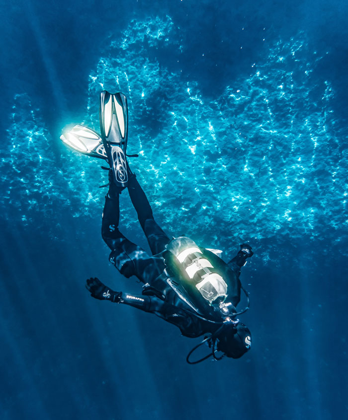 Would You Rather Swim With A Shark Or A Crocodile?